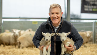 Adam First Lambs 22