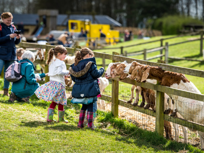 Feed The Animals Cotswold Farm Park Copy