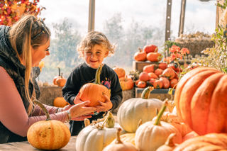 CFP Pumpkins 2023 011 (1)