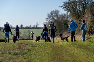 A group of people and their pets on a Cotswold Dog Walk at Cotswold Farm Park