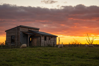 A Cotswold Farm Park Holidays Luxury Lodge, perfect for glamping, set in a field with sheep with a beautiful colourful sunset behind.